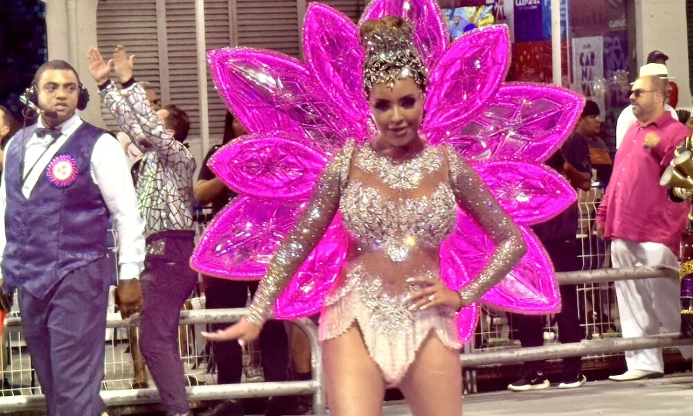 Ana Beatriz Godoi - Crédito da Foto: Renato Cipriano - Divulgação