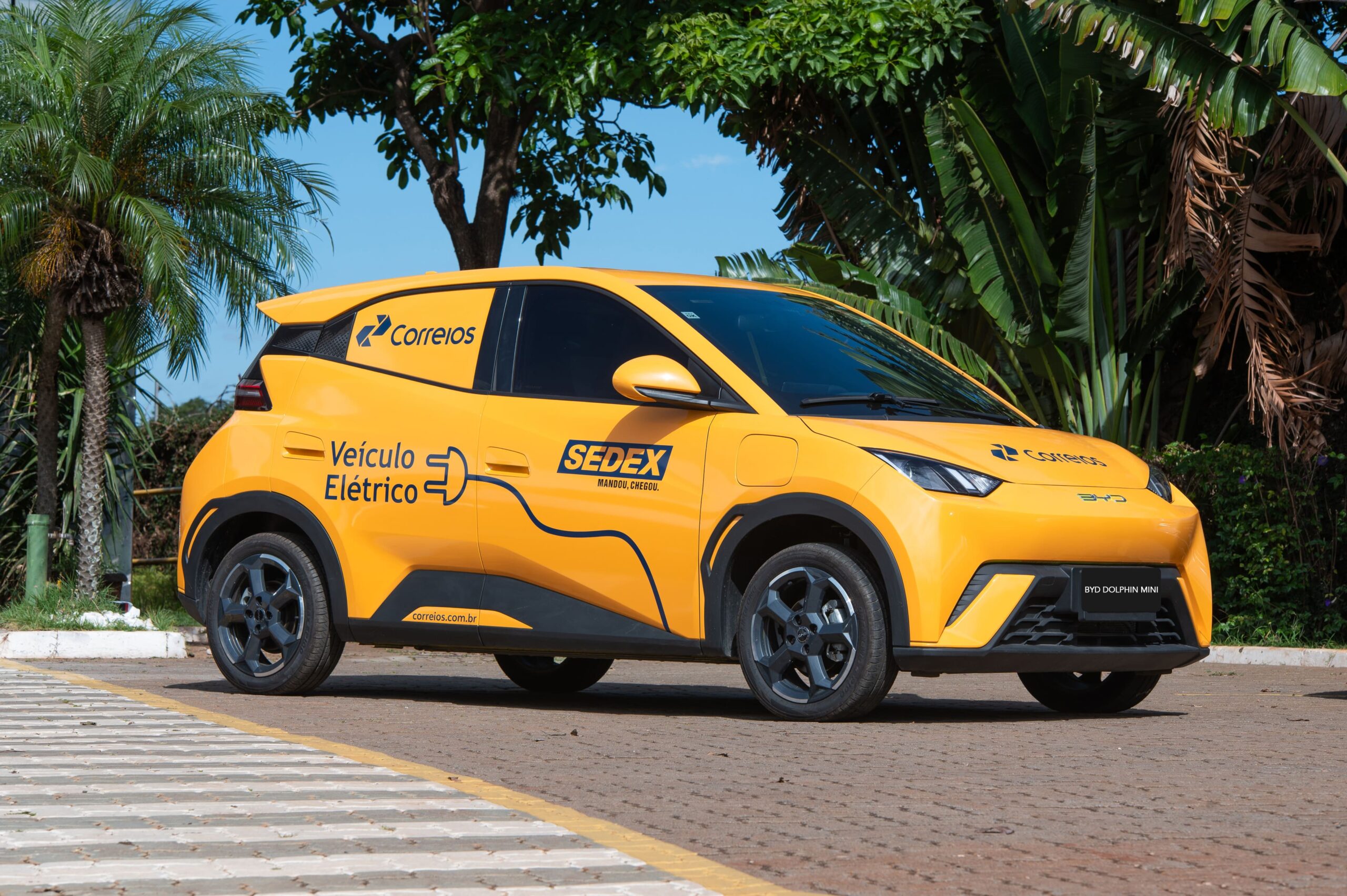 BYD Dolphin Mini Cargo - Créditos da foto: Divulgação