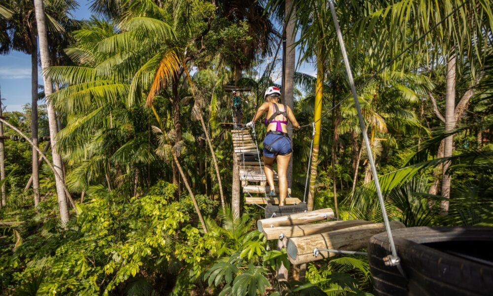 Créditos da foto: Divulgação