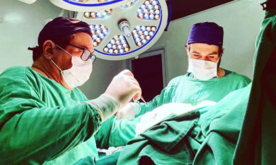 Créditos da Foto: Divulgação