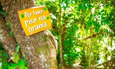 Créditos da Foto: Divulgação