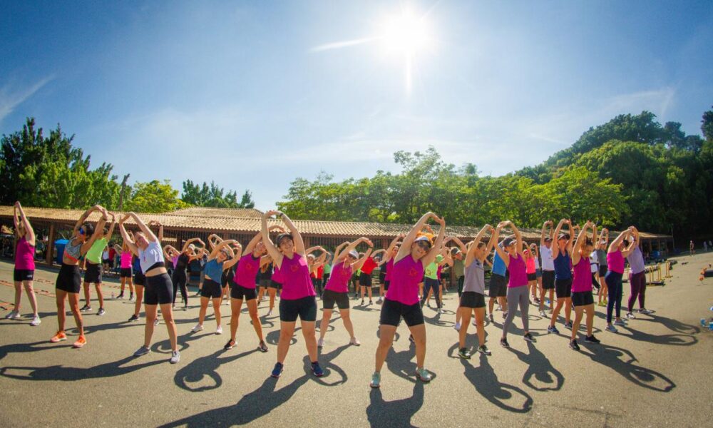 Créditos da Foto: Divulgação