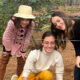 Créditos da Foto: Divulgação