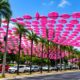 Mais de 1,5 mil guarda - chuvas rosas transformam trecho da Praça Tamandaré em Goiânia.
